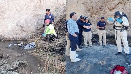 Encuentran restos humanos en Calama: Buscan realizar más hallazgos que permitan identificar a la persona
