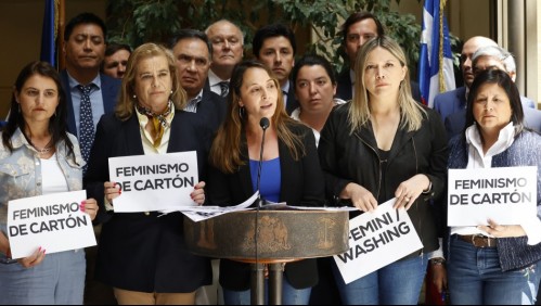 'Feminismo de cartón': Oposición critica al Gobierno por quitarle urgencia a extensión del postnatal de emergencia