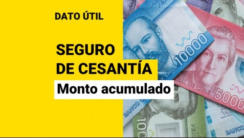 Seguro de Cesantía: Conoce con tu RUT cuánto dinero tienes acumulado