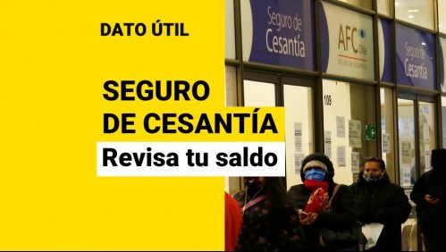 Seguro de Cesantía: Así puedes ver con tu RUT cuánto dinero tienes acumulado