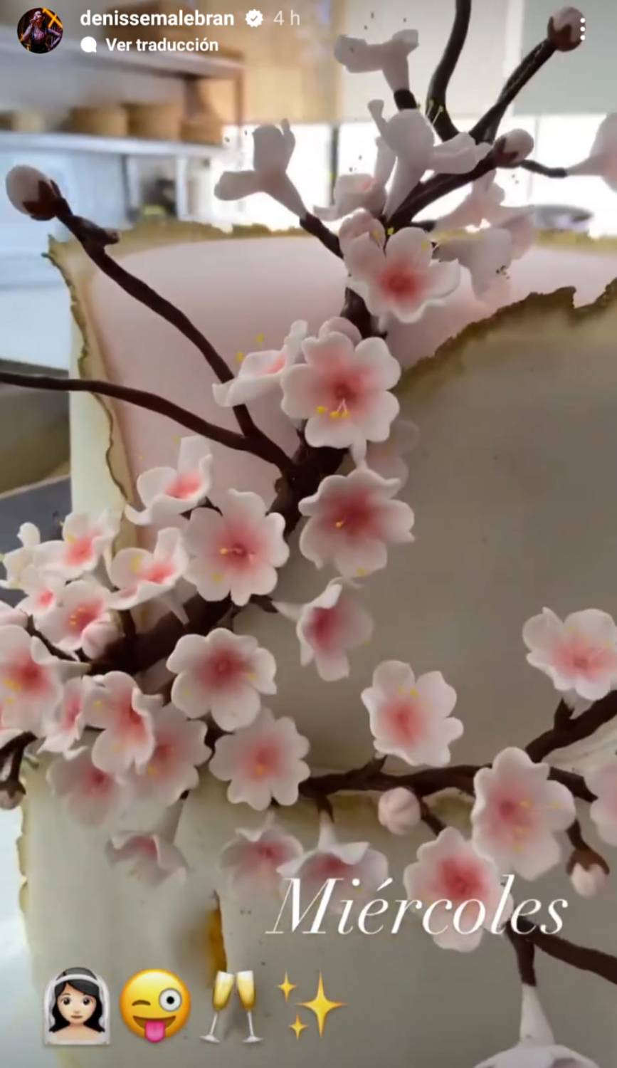 Torta del matrimonio de Denisse Malebrán