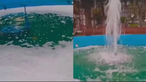 'No volvería a hacer algo así': El arrepentimiento de joven que lanzó lavalozas a pileta en Antofagasta