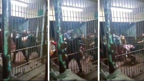 Brutal golpiza de gendarmes a reos en Puente Alto: Gendarmería instruye sumario y aclara que agresión 'no es admisible'