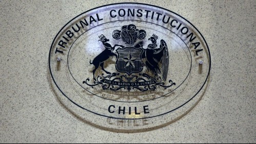 Tribunal Constitucional no admite a trámite requerimiento contra el TPP11: Esta es la razón por la que no prosperó