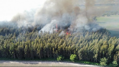 Se registra incendio forestal en la comuna de Melipilla: 12 hectáreas se han visto afectadas