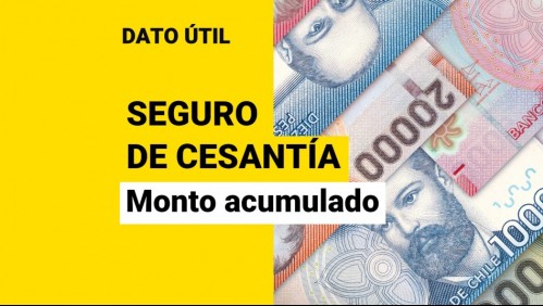 Seguro de Cesantía: Revisa con tu RUT cuánto dinero tienes acumulado