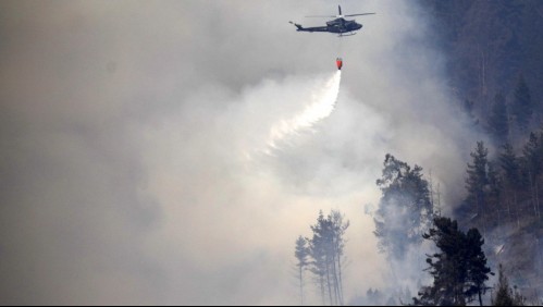 Onemi declara 'Alerta Roja' por incendio forestal para la región del Maule