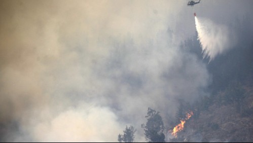 Onemi declara 'Alerta Roja' por incendio forestal en tres comunas del país
