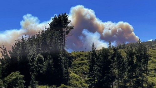 Incendio forestal en Paine deja seis viviendas consumidas: Onemi declaró  'Alerta Roja' para la comuna