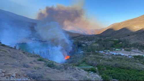 'Alerta Roja' en comuna de Monte Patria por incendio forestal: Se reportan 30 viviendas involucradas en el siniestro