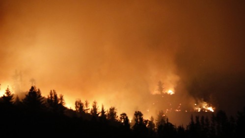 Incendios forestales: Un total de 33 incendios fueron registrados por la Onemi en las últimas horas