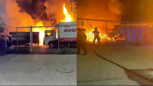 Integrantes de grupo 'antiespecista'que atentaron contra carnicería quedaron en prisión preventiva