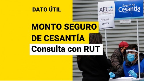 Seguro de Cesantía: Consulta con tu RUT cuánto dinero tienes acumulado