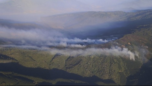 'En este caso la justicia no nos acompañó': Alcaldesa de Molina criticó penas asociadas a incendios forestales