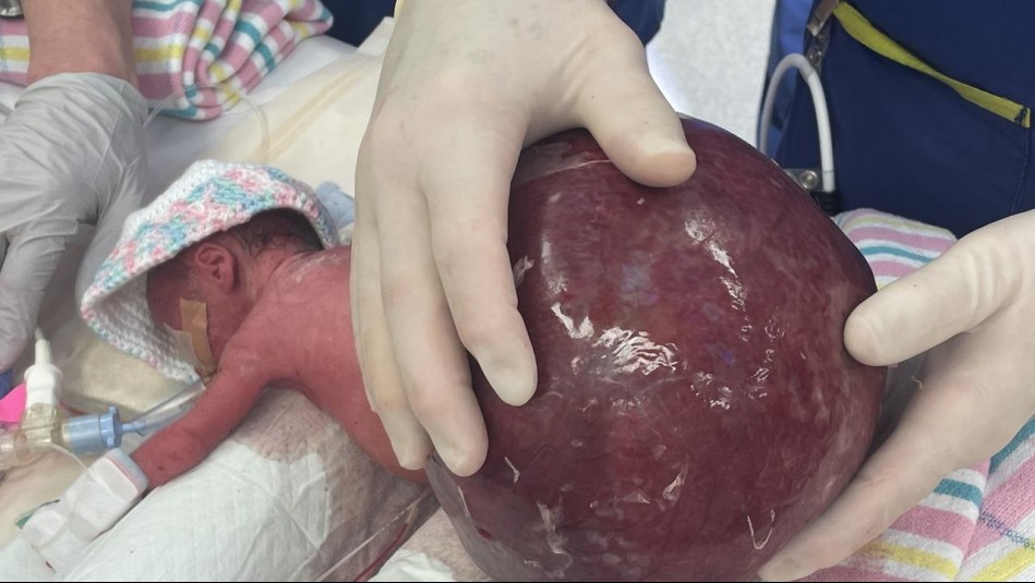 10 millions de personnes ont vu cette vidéo d'un bébé se faisant bercer -  Terrafemina