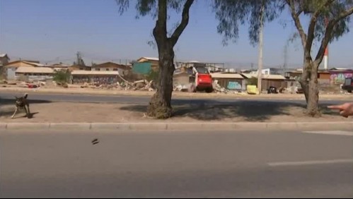 Video muestra cómo arrancan los ratones en medio de limpieza de basural en toma de Maipú
