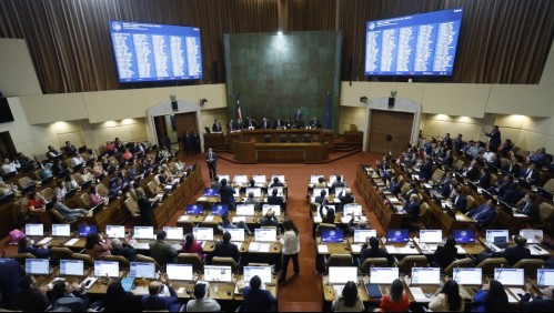 Elección de presidente de la Cámara de Diputados: Así fue la votación que favoreció a Vlado Mirosevic