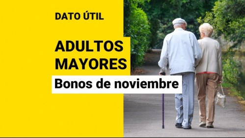 Bonos para adultos mayores: ¿Qué pagos pueden recibir en noviembre?