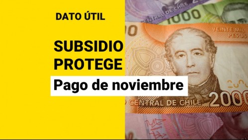 Subsidio Protege: ¿Cuándo empiezan los pagos de noviembre?