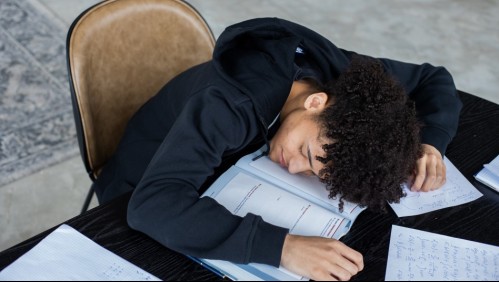 Así es la siesta perfecta, según expertos de la Universidad de Harvard