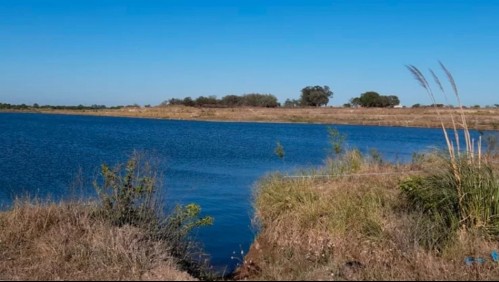 'Lo mató para quedarse con su jubilación': Hallan cadáver dentro de un tambor en un lago y sospechan de su hijo