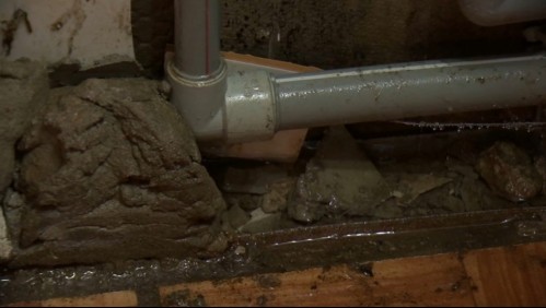 'Es indigno': Cumplieron el sueño de la casa propia y viven con constantes filtraciones de agua y hongos en las paredes