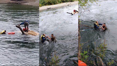 Rescatan con vida a adulto mayor que volcó su embarcación en el rio Cui Cui en la comuna de Panguipulli