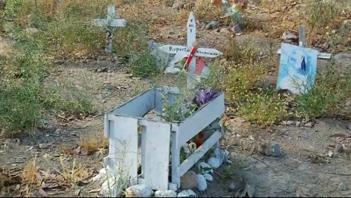 'Esto produce náuseas': Denuncian cementerio ilegal de mascotas en la comuna de Pudahuel