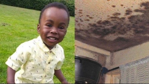 Las paredes estaban repletas de hongos: Niño de 2 años murió tras estar expuesto al moho en su casa