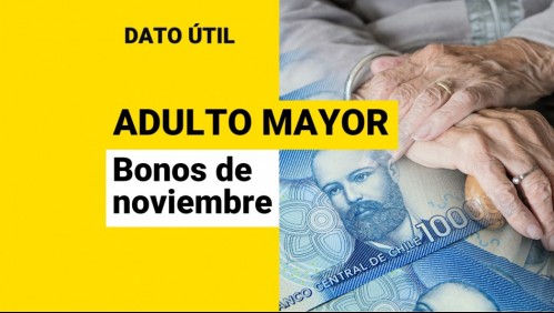 Bonos para adultos mayores en noviembre: ¿Qué pagos recibe la tercera edad?