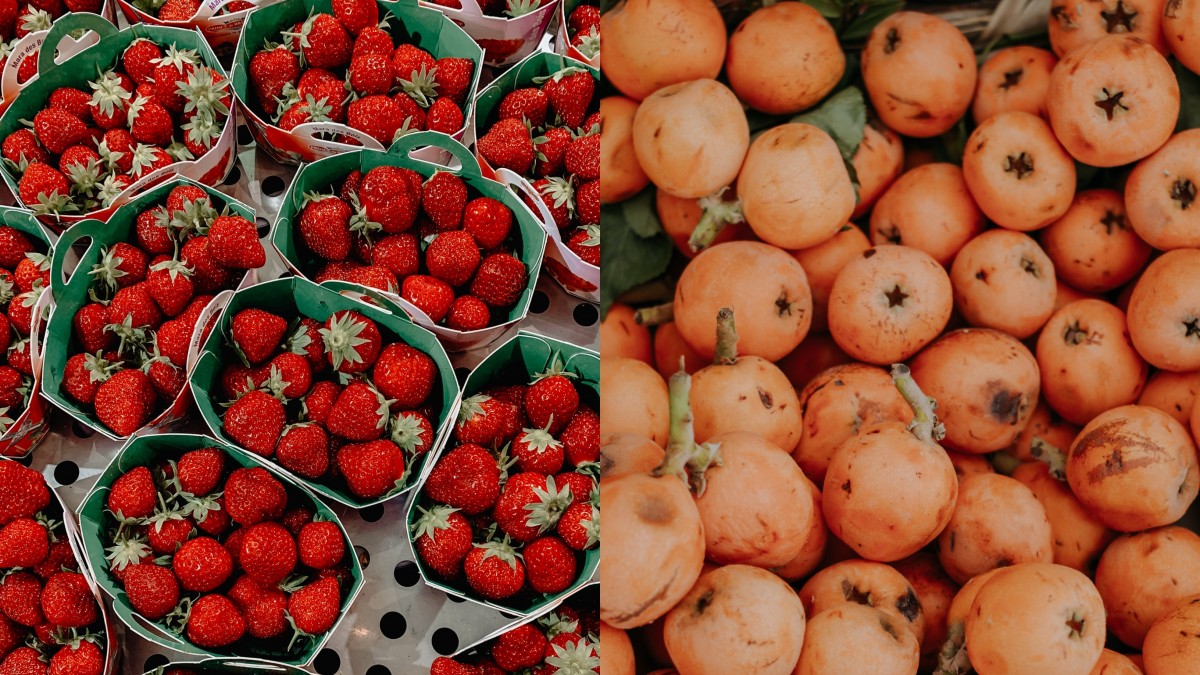 Castanha Do Sertão - O damasco é um fruto refrescante, revigorante,  saboroso e versátil,. Vamos conhecer os principais benefícios do consumo  dessa fruta à nossa saúde? #castanhaévida #saudeesabor #castanhadecaju  #saudealimentar #teofilootoni