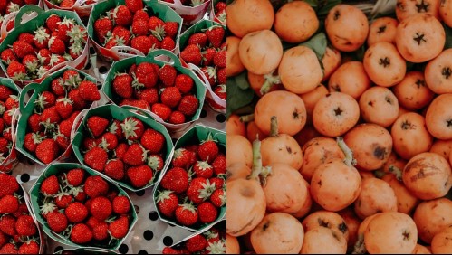 Además de refrescantes son nutritivas: Conoce los beneficios de 5 frutas de esta temporada