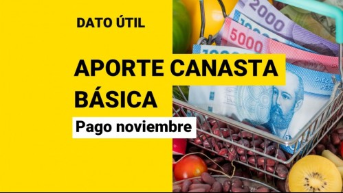 Aporte Canasta Básica: ¿Cómo saber si me corresponde el beneficio en noviembre?