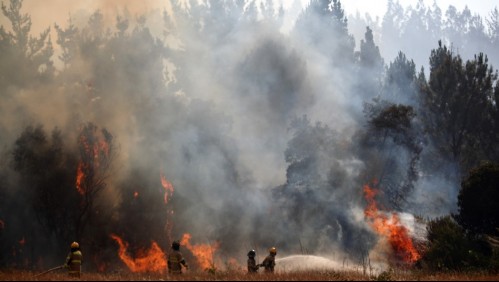 Onemi declara 'Alerta Roja' para dos comunas del país por incendio forestal
