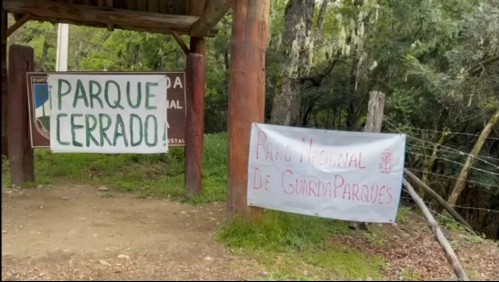 Paro de guardaparques de Conaf: Exigen mejoras salariales, estructurales y de seguridad ante violencia en la Araucanía
