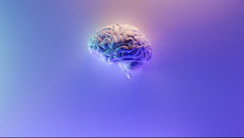 Expertos afirman que es posible 'rejuvenecer' el cerebro, según estudio de la Universidad de Chile