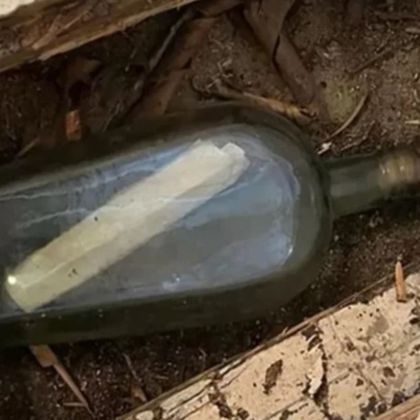 Encuentran botella de whisky enterrada hace 135 años con mensaje en su interior: ¿Qué decía el papel?