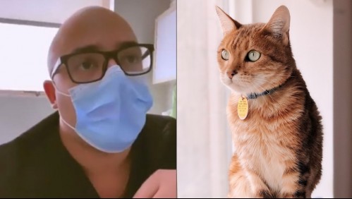 Inician sumario contra doctor de San Bernardo que fue 'funado' por promover el 'abandono de gatos'