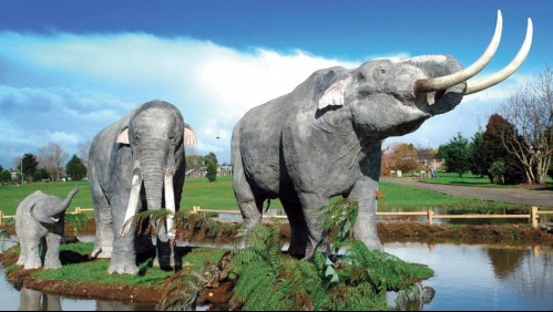 Encuentran en Chile restos de más de 13 mil años de antiguos elefantes: ¿Dónde se hallaron?