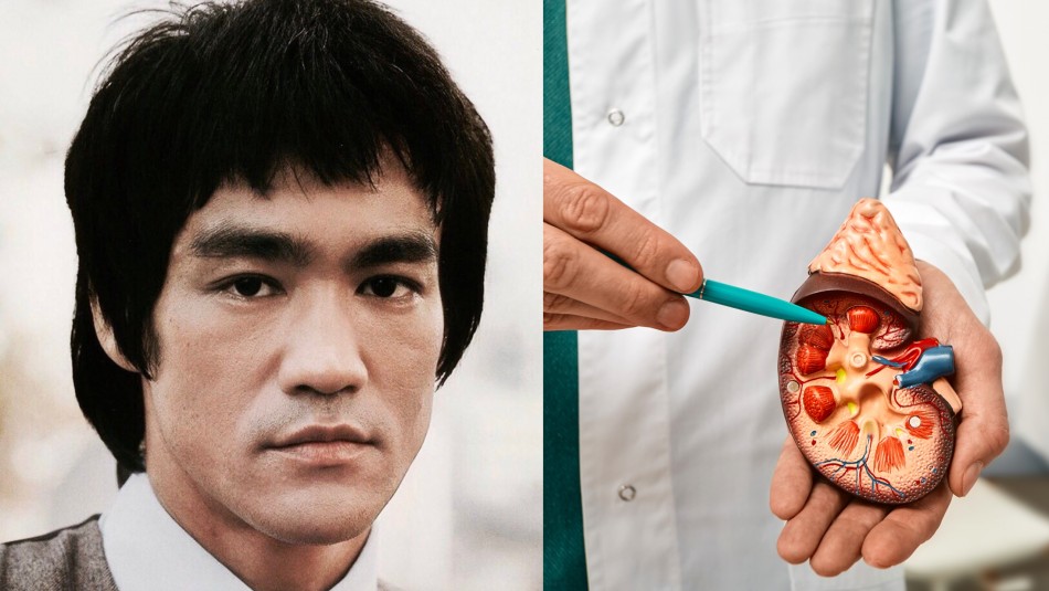 El consumo excesivo de agua mató a Bruce Lee, según un estudio