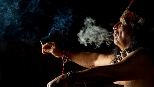 Esto es lo que pasa con tu cuerpo cuando consumes ayahuasca
