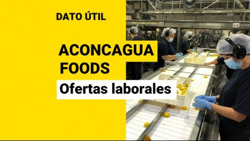 No se necesita experiencia previa: Así puedes postular para trabajar en Aconcagua Foods para temporada del durazno