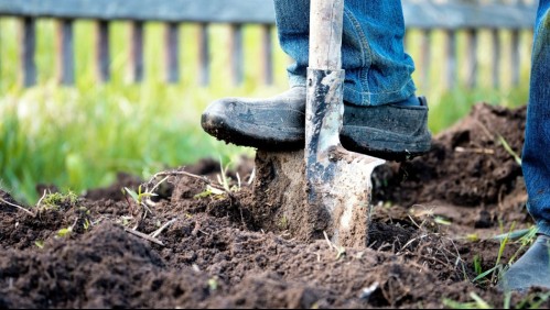 Sujetos se llevaron $100 millones que estaban enterrados en la casa de un hombre privado de libertad