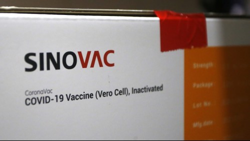 Sinovac tendría problemas para instalarse en Santiago: ¿Cuáles son las dificultades?