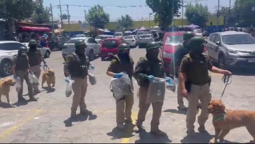 Allanamiento en Persa Bío Bío: Carabineros realiza mega operativo en diferentes locales comerciales