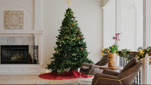 ¿Cuándo se debería armar el árbol de Navidad? Esto es lo que recomienda el feng shui