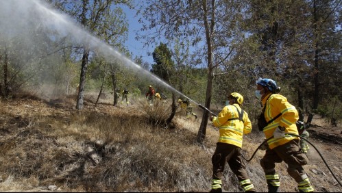 Declaran Alerta Temprana Preventiva por amenaza de incendios forestales en la región de Valparaíso