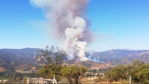 Declaran alerta roja por incendio forestal que amenaza sectores habitados en Quilpué