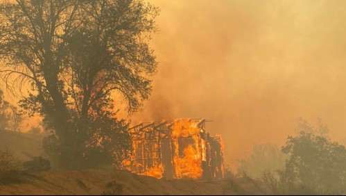 Incendio forestal en Quilpué alcanzó tres viviendas: 100 hectáreas han sido consumidas