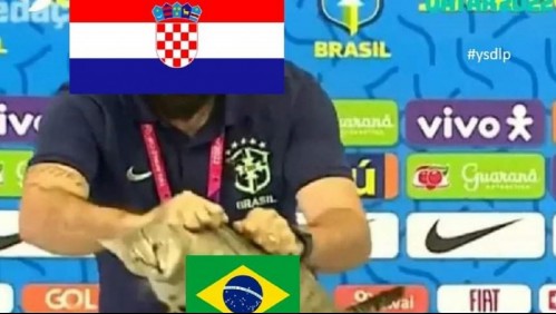 Los gatos fueron protagonistas: Los memes de la eliminación de Brasil del Mundial de Catar